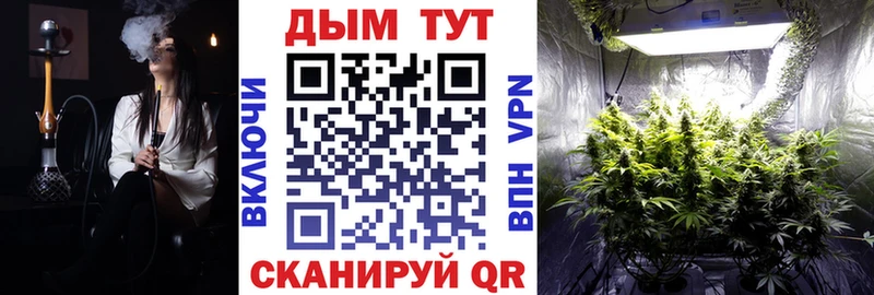 Канабис сатива  Уяр 
